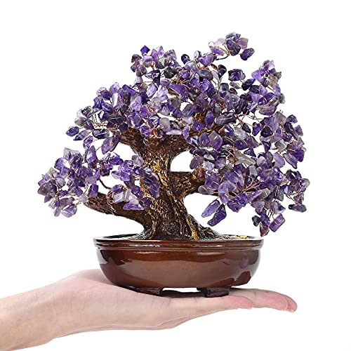 Best Amethyst Bonsai Tree Where to Buy?