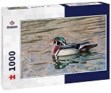 Noah Jigsaw Puzzle Wood Duck Drake Small Pond Botanical Gardens Wintertime, Albuquerque, New Mexico 1000 Pieces
