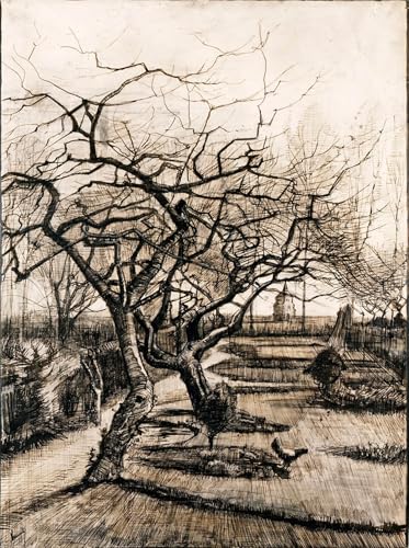 Cuadros de Vincent Van Gogh il giardino della a Nuenen impreso en lienzo para pared de 60x90cm