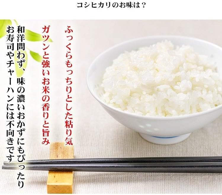 Amazon.co.jp: 宮崎県産 新米 こしひかり 5kg ふく福米 コシヒカリ 令