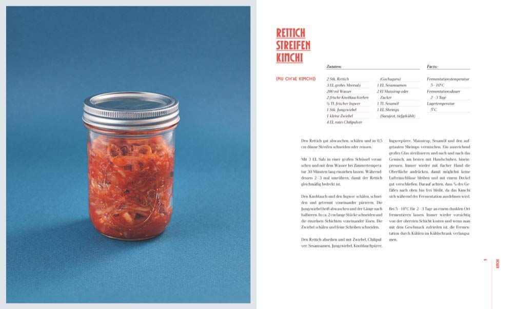 Das große Buch der Fermentation: Natürliche Produkte einfach haltbar machen