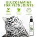 Catnip Spray for Cats, Highly Potent for Energizing Play & Toy Renewal, Calming Stress Relief for Indoor Cats, 100% Natural Dual-Plant Formula for Cats & Kittens, Mess-Free Herbal Formula (100 ml)