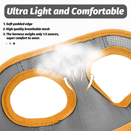 Image of FAYOGOO Cat Harness and Leash Set | Upgrade Step-in Escape Proof Harness | Lightweight Soft Vest, No-Choke Design for Walking, Travel, Camping (Gray)