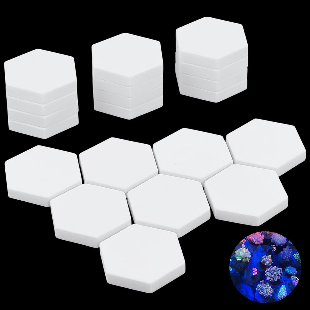 NBEADS 28 Pezzi Base per Tappi In Ceramica di Corallo, Supporto Esagonale per Frammenti Acquario, Bianco, 3.5×3.05 cm