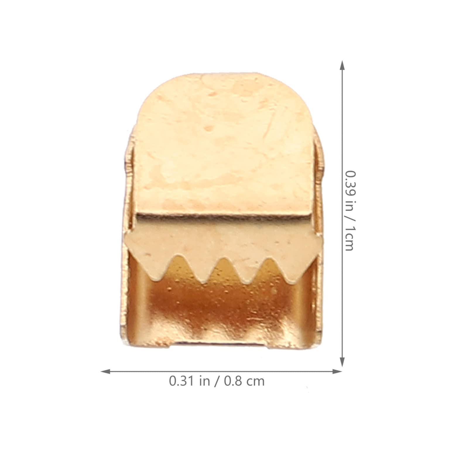 COSMEVIVI Shoe Laces for Sneakers 100pcs Shoelace Tail Buckles Metal Lace Locks Running Shoes Shoelace Buckles