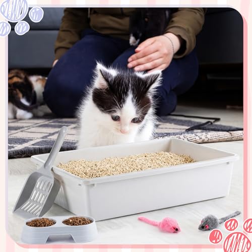 Kit de inicio para gatos con 2 areneros pequeños miniatura 6