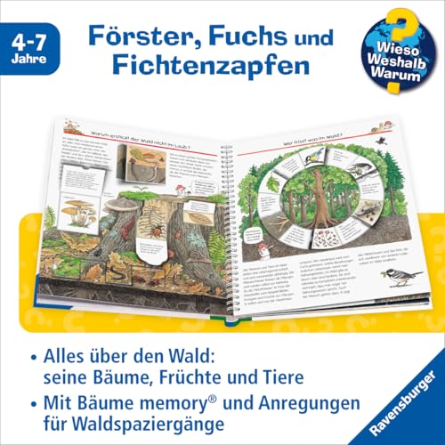 Wieso? Weshalb? Warum?, Band 46 - Wir entdecken den Wald (Sachbuch ab 4 Jahre - mit Klappen) (Kernreihe, 46)