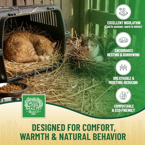 Small Pet Select - Golden Wheat Straw Bedding, 100% Natural Plant Material, Soft Animal Bedding Litter with Odor Control for, Rabbit, Hamster, or Bunny, Habitat Accessories, Made in USA, 8lb - Image 5