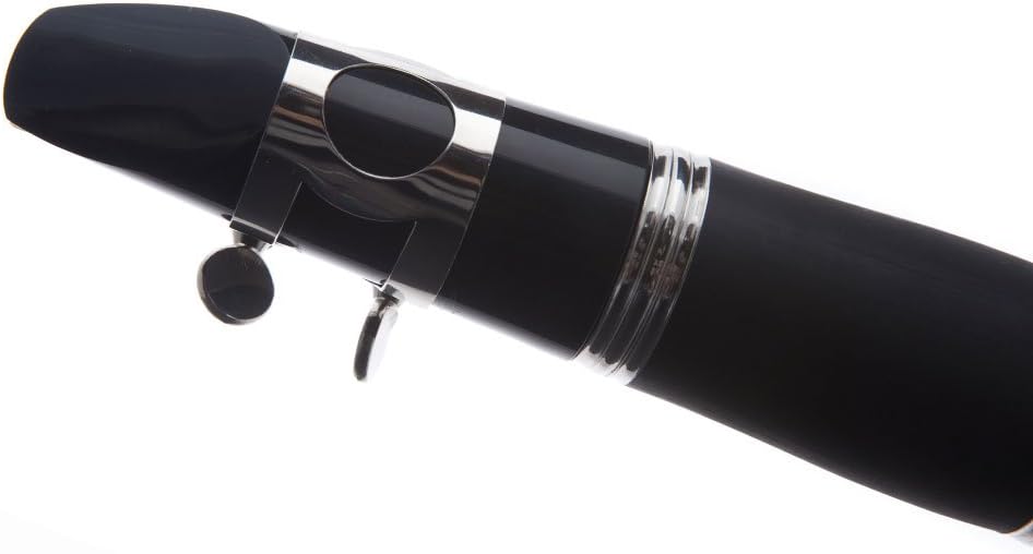 Hawk WD-C212 Bb Clarinet Outfit Matte Finish with Case, Mouthpiece and Reed