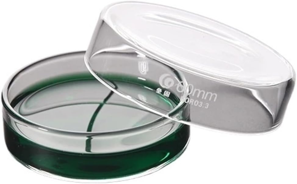 10pcs/Pack Affordable 60mm High Borosilicate Glass Petri Dishes for Cell Culture Dishes Lab Supplies