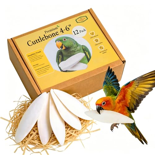 Amzey 12 Pack Cuttlebone for Birds 4-6 Inches Sun-Dried 100% Natural Calcium Supplement 100% Pure Cuttlefish Bone for Beak Trimming Supports Healthy Bones Feathers & Shells
