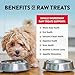 Northwest Naturals Raw Rewards Freeze-Dried Beef Liver Treats for Dogs and Cats - Bite-Sized Pieces - Healthy, 1 Ingredient, Human Grade Pet Food, All Natural, Proudly Made in USA, 3 Oz