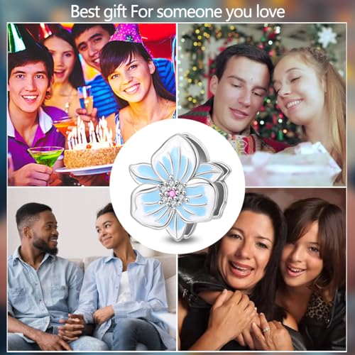 Image of 925 Sterling Silver Charms,Hypoallergenic Beads,Compatible with Pandora Bracelets and Necklaces,Women Holiday Gift Pendants