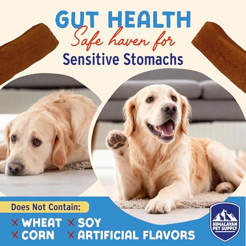Image of Himalayan Dog Chew Yogurt Sticks, Probiotic Dog Treats, Pumpkin, 5 Treats