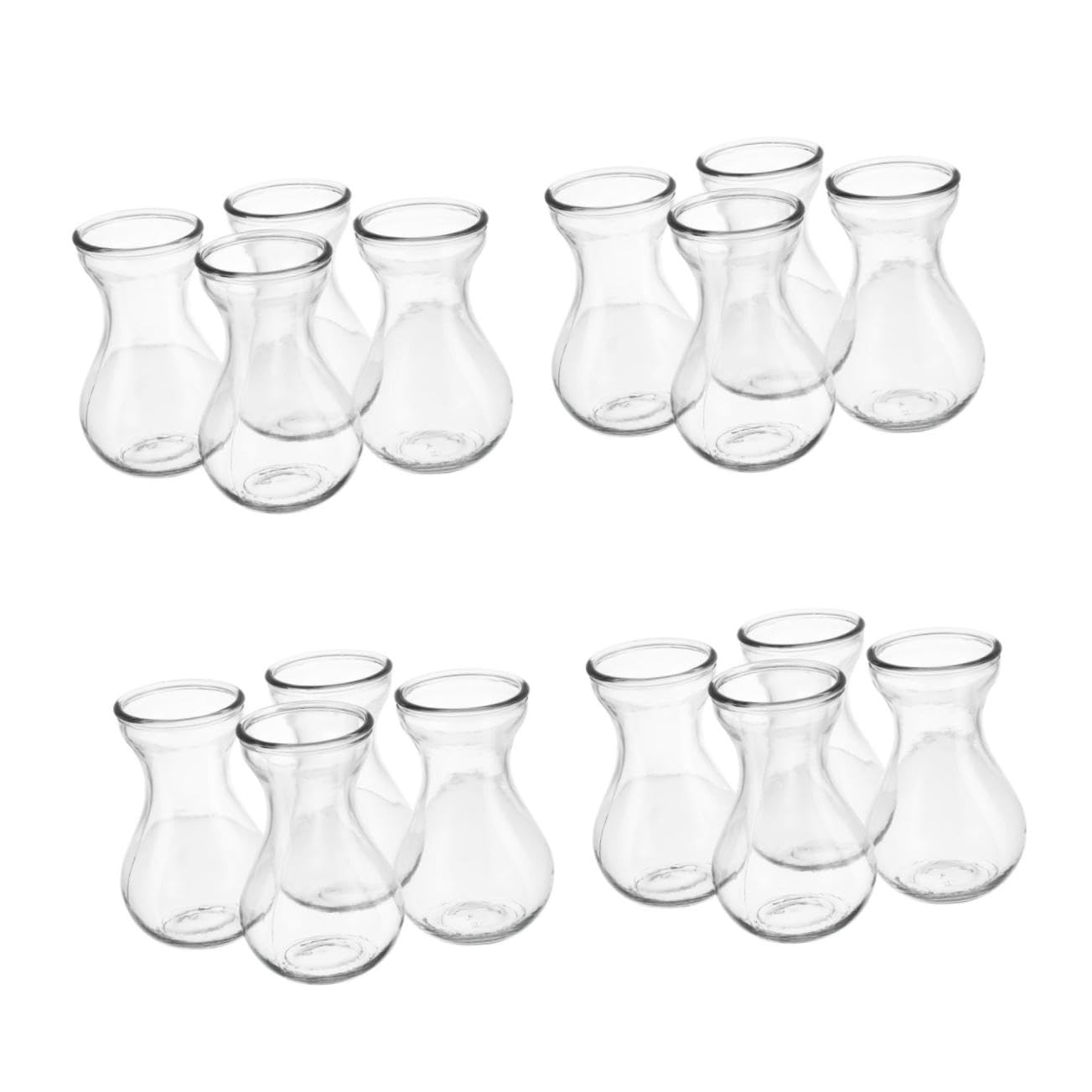 Vase hydroponique pour décoration de maison et bureau avec fleurs fraîches