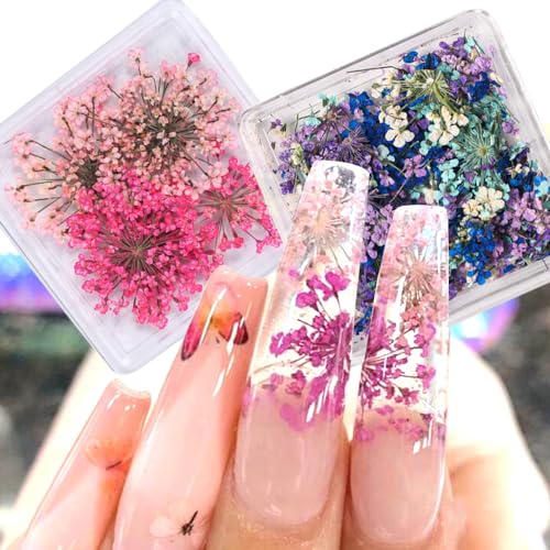 Qdsuh HJKFBHM01 Dried Flowers For Nails, 3D Natural Dry Flower For Resin Crafts Tiny Floral Nail Art Flowers Colorful Mini Mix Flower Nail Stickers thumb #2
