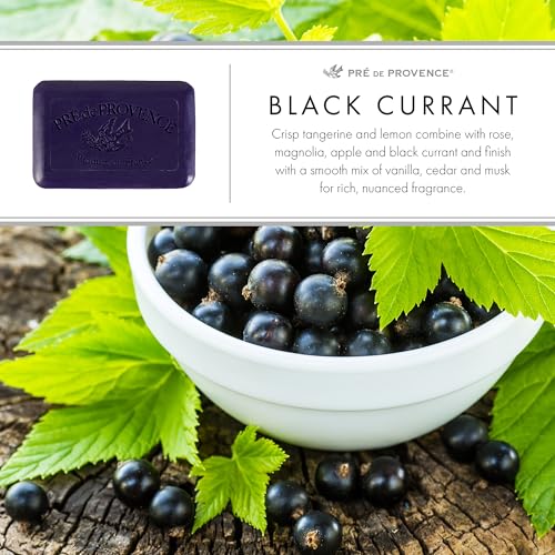 Image of Pre de Provence Artisanal Soap Bar, Natural French Skincare, Enriched with Organic Shea Butter, Quad Milled for Rich, Smooth & Moisturizing Lather, Black Currant, 5.3 Ounce