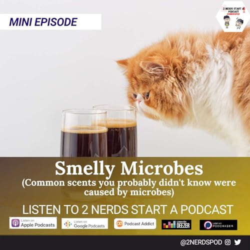 Mini Episode: Smelly Microbes Podcast Por  arte de portada