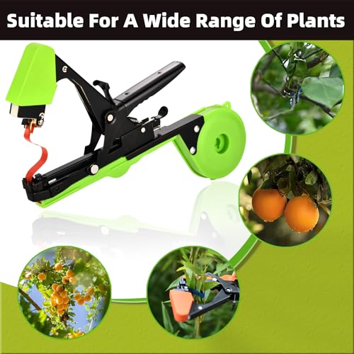 Outil de fixation de vigne SUCA pour éviter la casse des branches de tomates