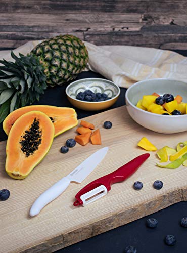 Kyocera Advanced Ceramic Vertical Double Edge Blade Peeler, Black #TOP5