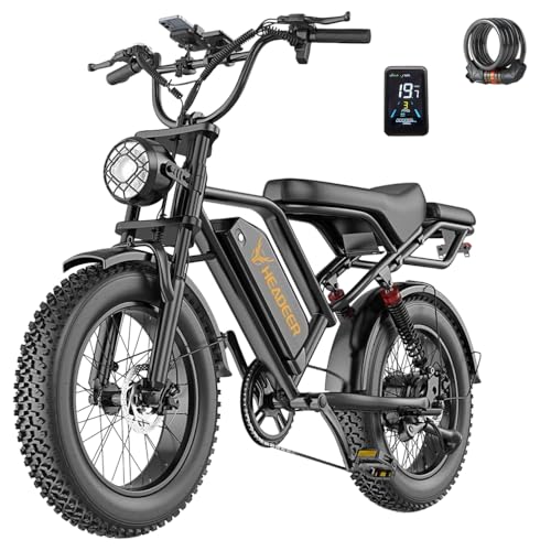 Snokco BK20 Elektrofahrrad für Erwachsene, Abnehmbarer Akku mit 48 V und 20 Ah, 20 x 4,0 Zoll Breite Reifen, 50-100 km Reichweite, Doppelte Scheibenbremse, Vollfederung, 7 Gänge