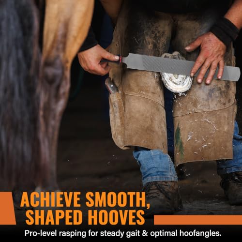 Image of 18Inch Professional Farrier Hoof Rasp - Heavy Duty Carbon Steel Hoof Trimmer for Horses, Cattle, Goats, Donkeys, Ergonomic Handle with Sharp Teeth, Durable Animal Hoof and Wood File Tool
