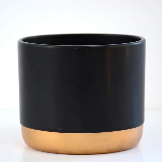 Two-Tone Black & Gold Medium Ceramic Plant Flower Pot Round Modern Stylish Simple Design for Indoor House Plants Succulents 1 x Medium Black & Gold Ceramic Pots by Thompson and Morgan