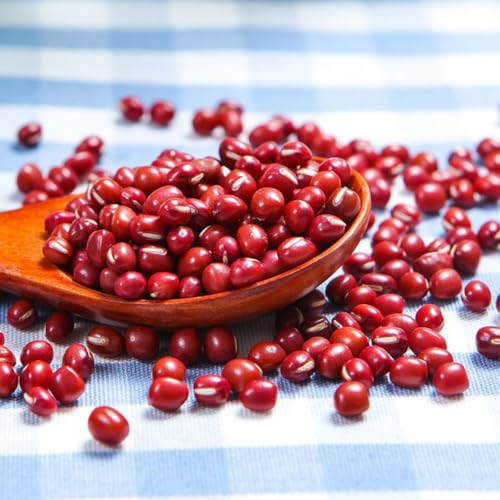 semillas de frijol azuki - frijoles rojos - camas elevadas para jardín semillas de frijol Plantas de jardín perennes resistentes Semillas de hortalizas, decoración de jardín exterior, 125pcs