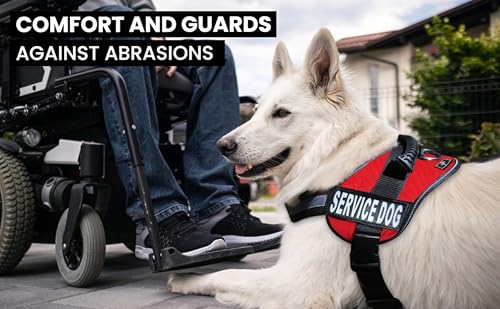 Doggie Stylz Service Dog Vest - Durable and Reflective Service Dog Harness, Adjustable Service Animal Vest for Dogs, XXS, XS, Medium, and Large Sizes - Comfortable Dog Service Vest for Working Dogs