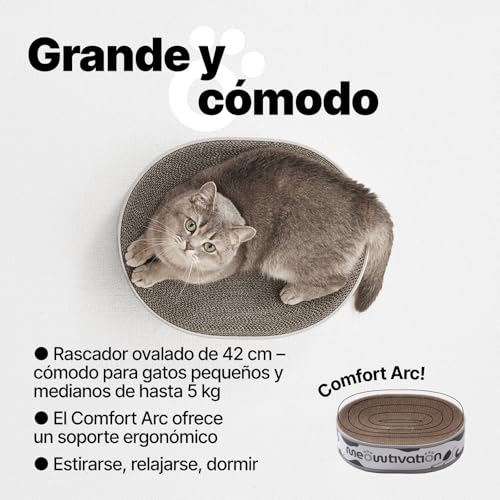 Miniatura 3 de Cama Rascador Para Gatos Rascador Ovalado De Cartón 100 Reciclado, Cama De 42 Cm Con Hierba Gatera Natural, Accesorio Robusto Para Gatos Pequeños Y Medianos