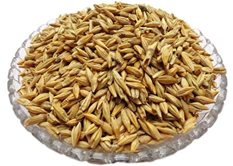 Roods Fresh Barley Grain/Natural and Rich Fiber Jau Seeds (Pack of 900 Gram) (B08GQC3ZRD) Amazon Price History, Amazon Price Tracker