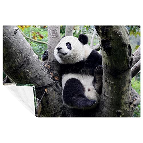 Couverture bébé panda chaude et grand plaid lit canapé camping 150x100 - 2