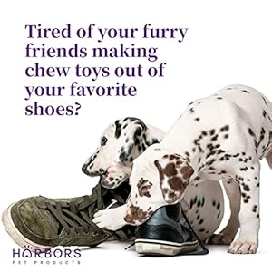 Harbor’s Dog Training Aid for Puppies and Dogs – 4 oz | Puppy Training Spray | Dog Training Spray | Dog Deterrent for Furniture | Dog Deterrent for Plant