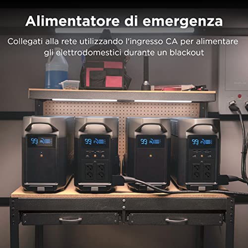 ECOFLOW Batteria Supplementare DELTA Pro, Capacità...