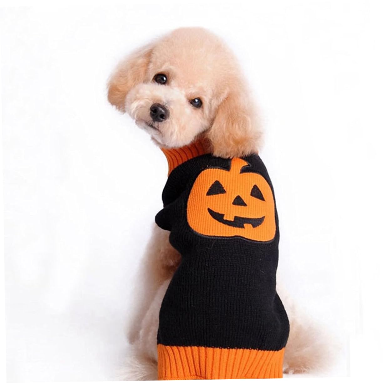 BESPORTBLE Pull pour Animal De Compagnie 3 Pièces Costume De Citrouille Dhalloween pour Petit Chien Chiot Pull Chaud Confortable Et Extensible