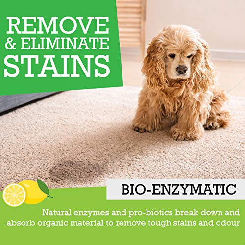 mad lemon pet odor eliminator