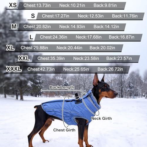 Abrigo de invierno para perro con cremallera azul talla L 5