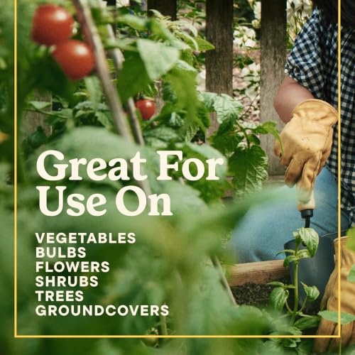 Miracle-Gro Shake 'N Feed All Purpose Plant Food + Weed Preventer1, 4.5 lb. - image 9