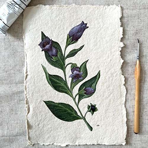 400 Gsm / 25 Sheets - Rough/Textured Drawing/Sketching Paper 10.5 X 7.5 Inche - Handmade/Deckle Edge Paper Made From Virgin Egyptian Cotton - Off-White By Leather Village #TOP5