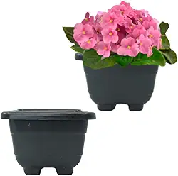 Kit 2 Vasinhos ideal para Violeta e Kalanchoe/Cachepô quadrado 9cm - Vaso de Planta - COR: PRETO