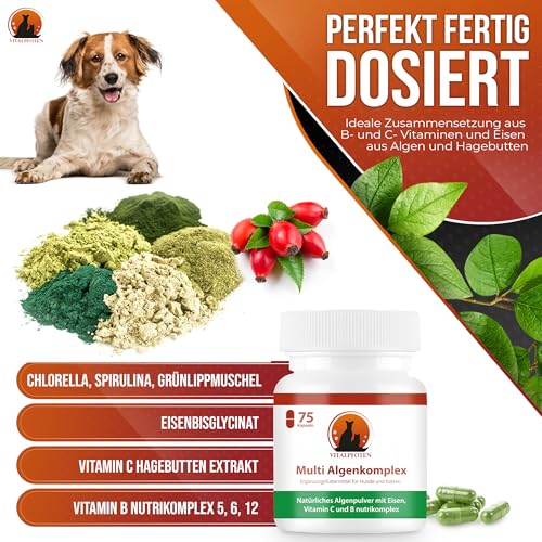 Vitalpfoten 75 Multi Algenkomplex Kapseln für Hunde und Katzen mit Chlorella, Spirulina, Grünlippmuschel, Eisen, Vitamin C & Vitamin B nutrikomplex - Energie & Nerven - Vitamin-B und Eisentabletten