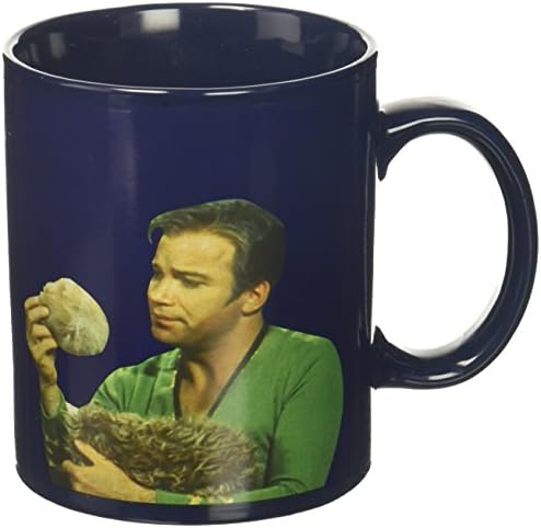Star Trek Shop FBA_STOL221 Heat Change Mug, 1 Count (Pack of 1)