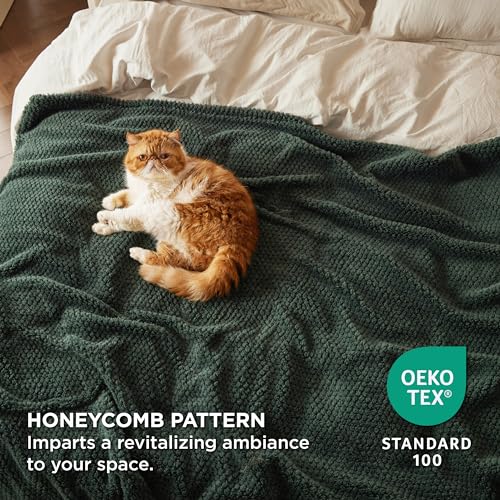 Bedsure Throw Blanket For Couch thumb #3