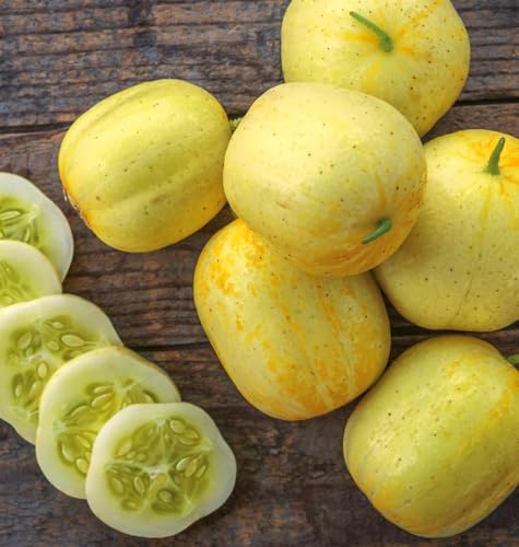 Lemon Cucumber Seeds 100PCS– Heirloom, Fast-Growing Non-GMO Variety – Produces Sweet, Yellow Round Cucumbers for Fresh Eating & Salads