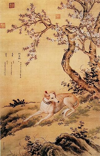Imagen del galgo chino Shanxing cuadros modernos de animales impresiones retro para pared 60x90