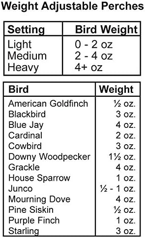 Green Metal Squirrel Proof Double-Sided Bird Feeder
