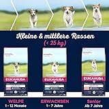 Eukanuba Welpenfutter getreidefrei mit Fisch für kleine und mittelgroße Rassen - Trockenfutter ohne Getreide für Junior Hunde, 3 kg