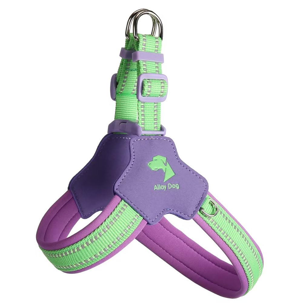Y-shaped anti-pull dog harness designed specifically for Dachshund. It features an adjustable, softly padded chest vest with reflective strips, breathable design purple M