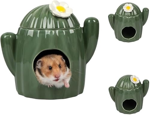 Scifimpݎt̗΂̑̃nX^[nEXẢBꏊAXilY~lY~ɓKĂAT{ě`ĂAZ~bÑt[h{EtĂ܂BS[fxȂZbgASB