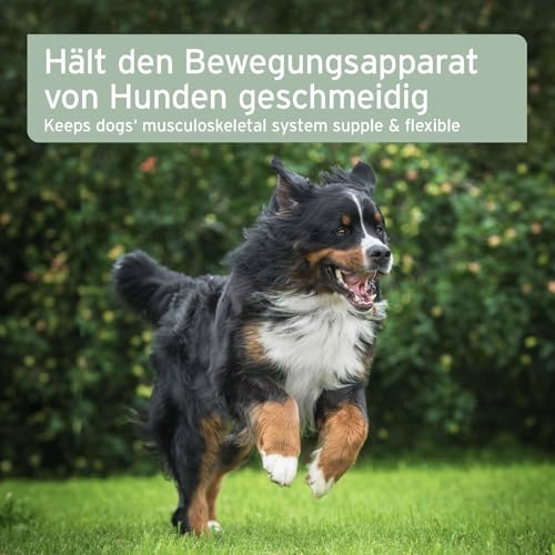 AniForte Arthro Omega Öl für Hunde 250ml - bei Osteoarthritis, Hund Arthrose & Gelenkentzündung, Hund Gelenkschmerzen, 100% Naturöl für Hundegelenke statt Gelenktabletten